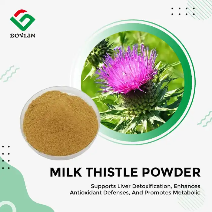 Milk Thistle Extract Powder